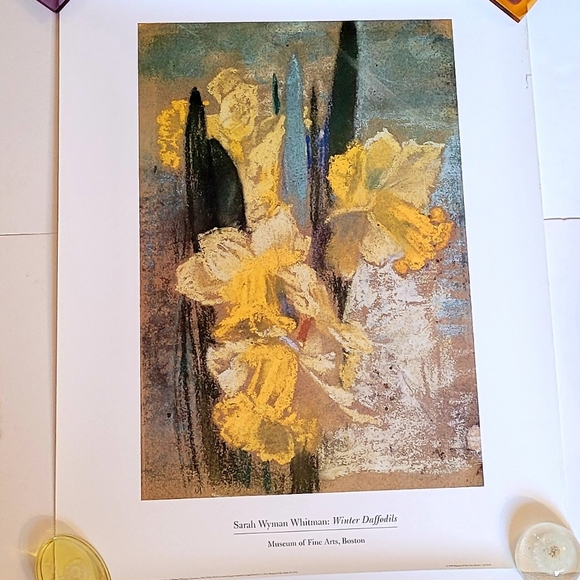 NWOT Winter Daffodils Print - Picture 6 of 7